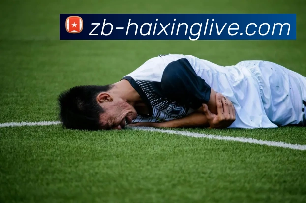 海星体育APP 封面图